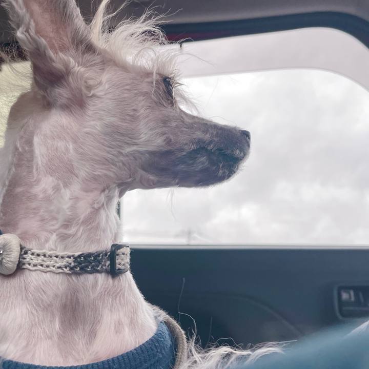 9de15915 387a 47ae 8404 b353413a8b8c 1761132268195