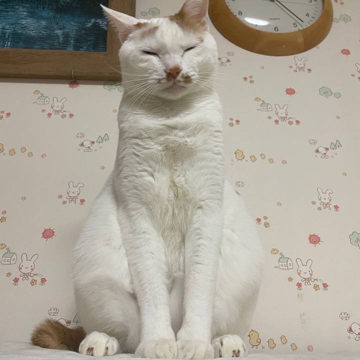 9de1bde3 b3e5 4cc7 bb3b fa4a1c7780a0 1645022286656