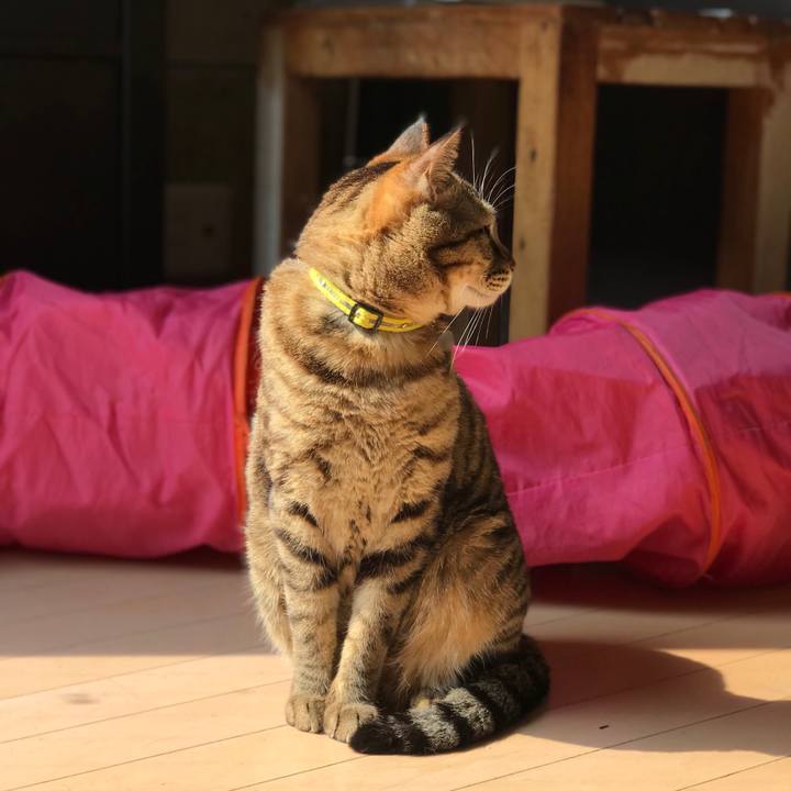 9de1d5d7 584a 4fd3 a2f3 376b5d74bf63 1522452690513