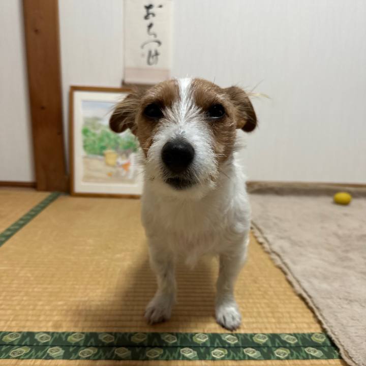 9de20eab d1c6 48a1 9618 de04164db086 1766096469482