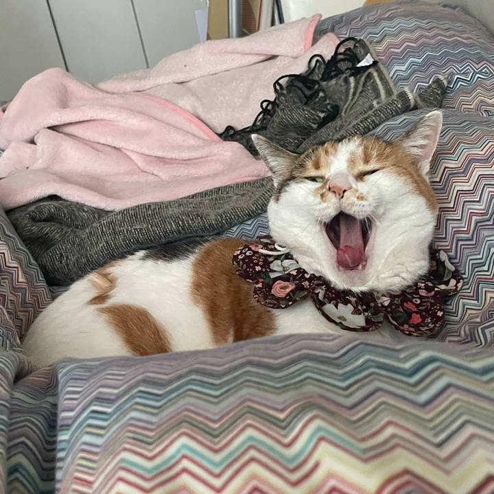 9de226e9 6b52 4485 98d7 0a8f7b6b55cc 1742254565062