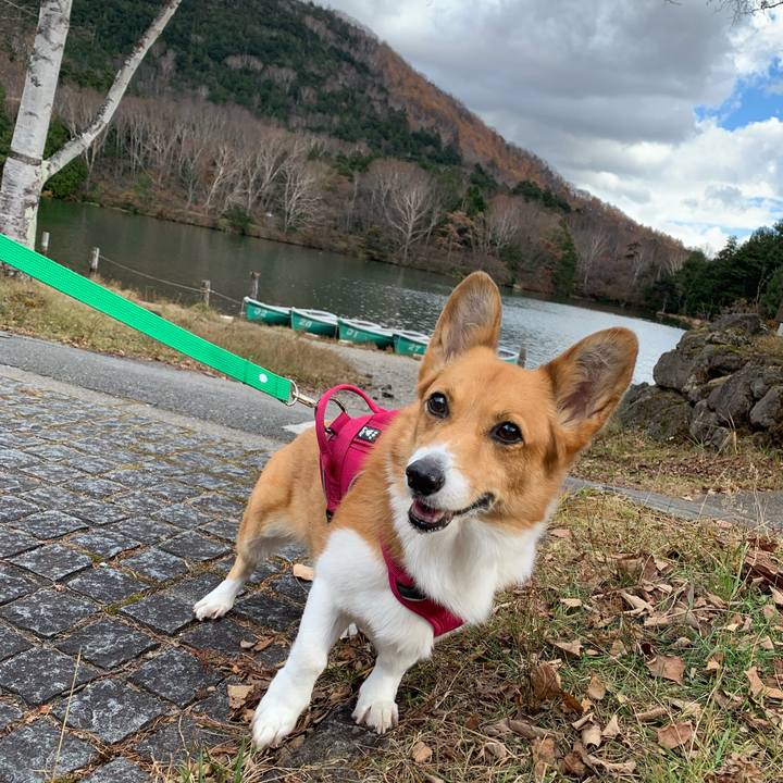 9de26edd 231c 4cb8 a211 a3ea9cc5e55f 1636077998787