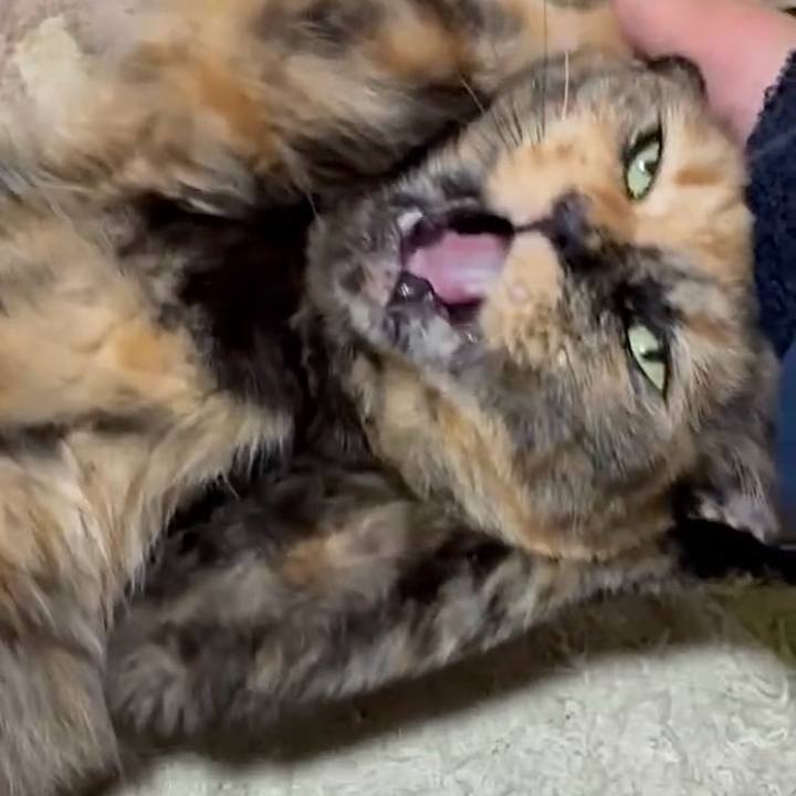 9de27dfd 0294 4c04 99fb 934e037dfe57 1751803394242