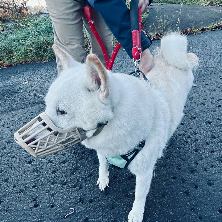 9de28d86 0a86 4771 9320 5fc35bd5c4ec 1699573350206