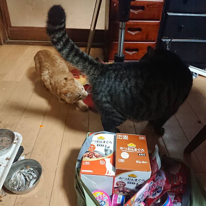 9de2b21d 74cf 451b a51d 73cddf17a759 1639222844879