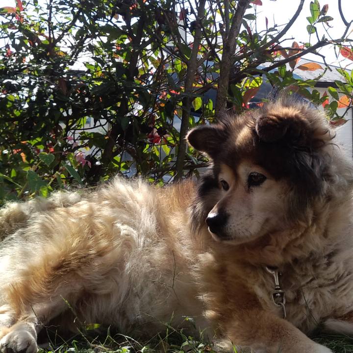 9de2ced5 bb2b 4b73 b42d 921bce36ce00 1555028347222