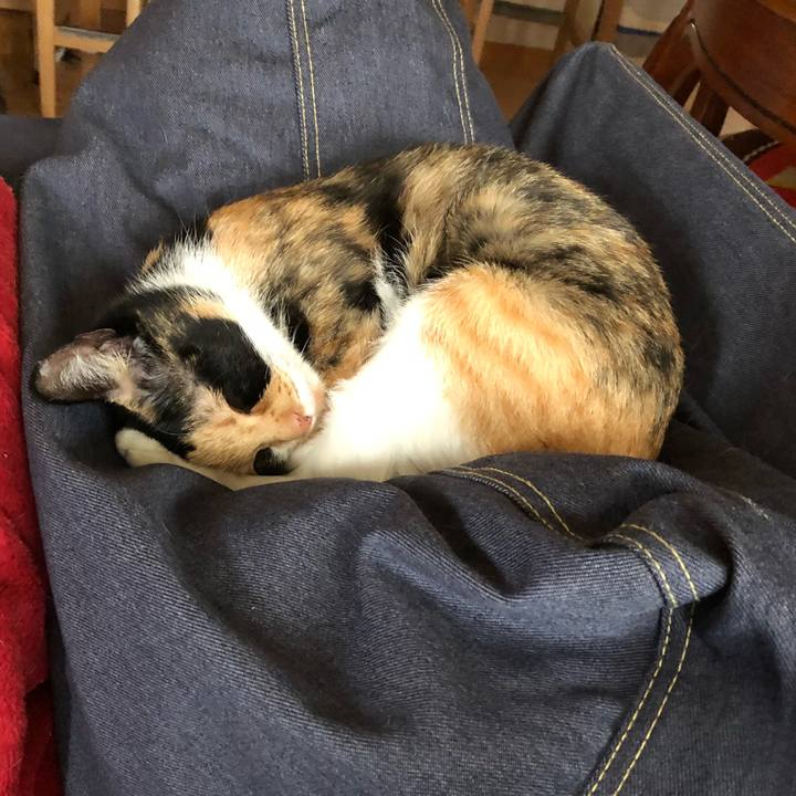 9de2da5c ebe9 4112 ba4f 1b12de31e420 1529713543782