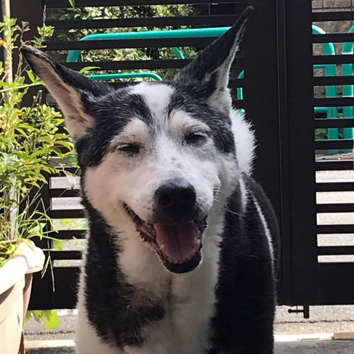 9de35d62 bf2b 43b4 831d 727d84d8f936 1568944386216