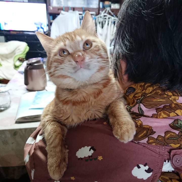 9de36d3b e9ea 4506 b87f 284af6344eee 1640936234019