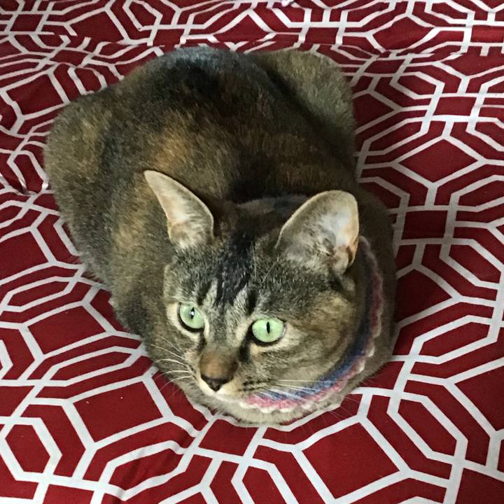 9de3c03f acc3 4610 8fac 39ca34b49a84 1625449707954