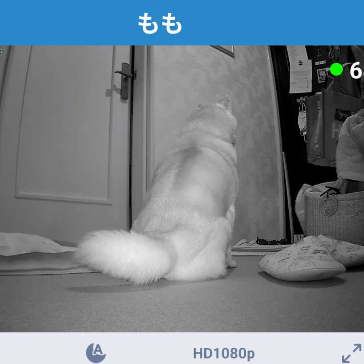 9de3c1bc 36c2 40c4 b5ef ad66efa3cb06 1761096195177