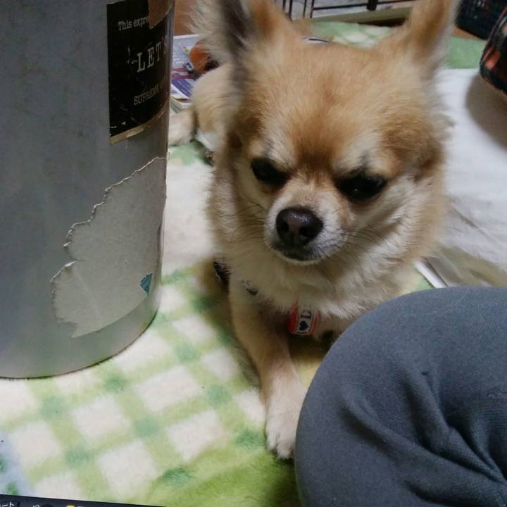 9de3c3dd 4fb6 41fb a83e 6961b7a608d9 1525513142389