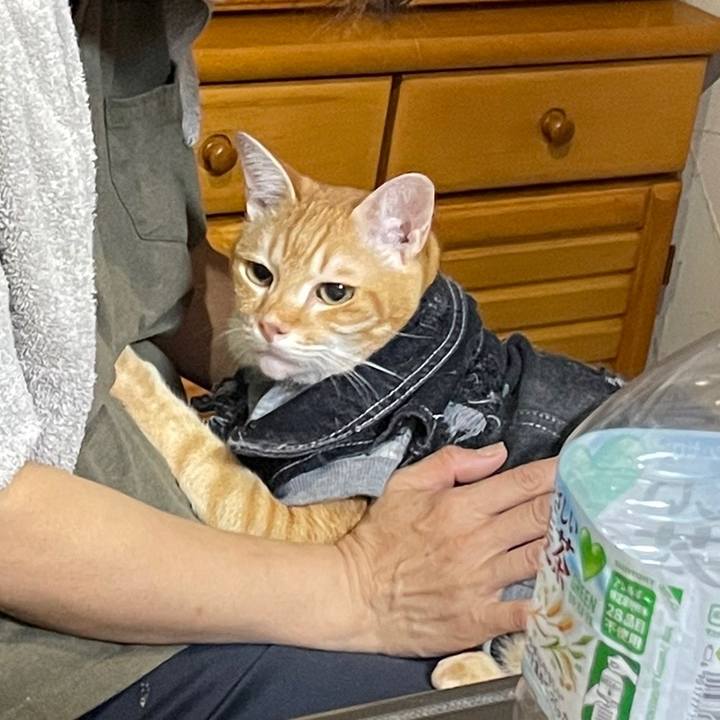 9de3ca87 3d16 4200 a7c1 e7415cf3d03d 1658357129616