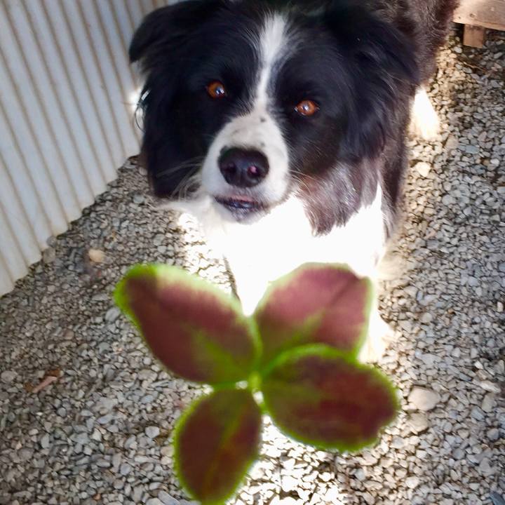 9de3dfc8 d88f 4be7 b9db 1d9a3fe44e2e 1573347732972