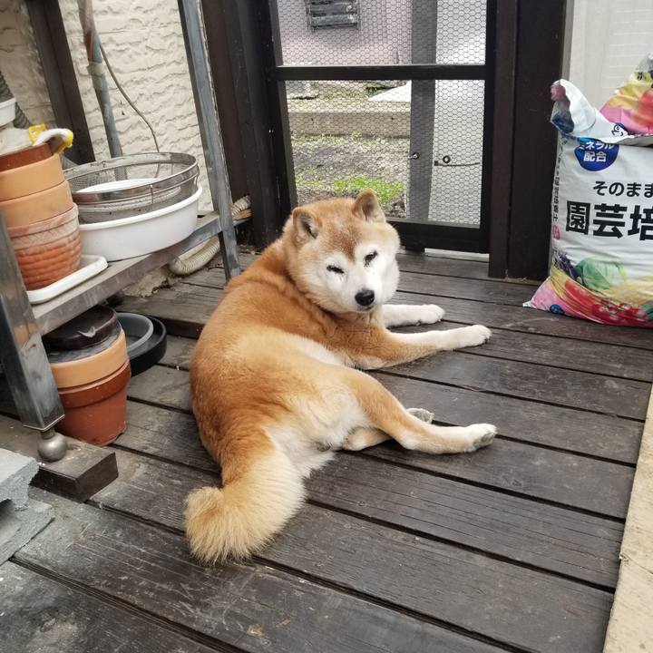 9de3f54d 7284 4bb9 a401 cc4a0a05a26e 1744267509808