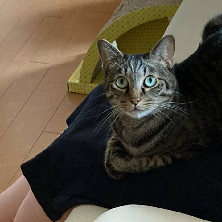 9de40528 eb1e 4a50 9154 3e5661ce92e2 1662633212420