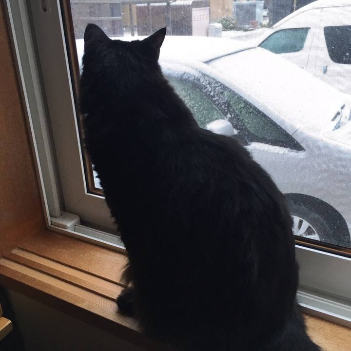 9de4147c 2c15 4dc6 ab94 5e29fb4aea1e 1508723403965