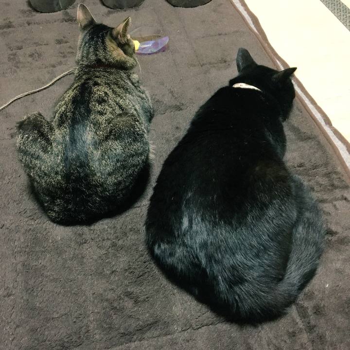 9de420ef 45dc 4490 9f74 a848ce1e52e1 1538749101264