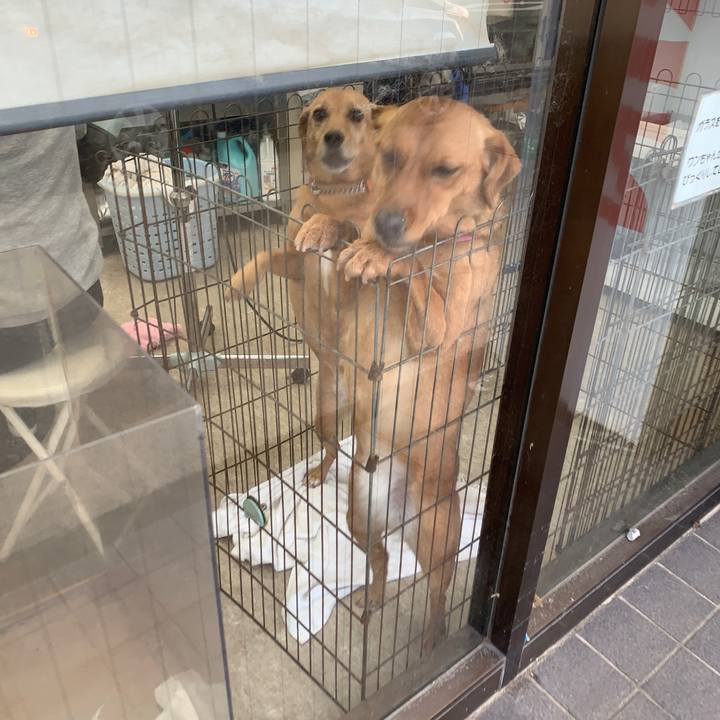 9de42163 7d3d 4ed9 84dc 479f8cd8d193 1577426975454