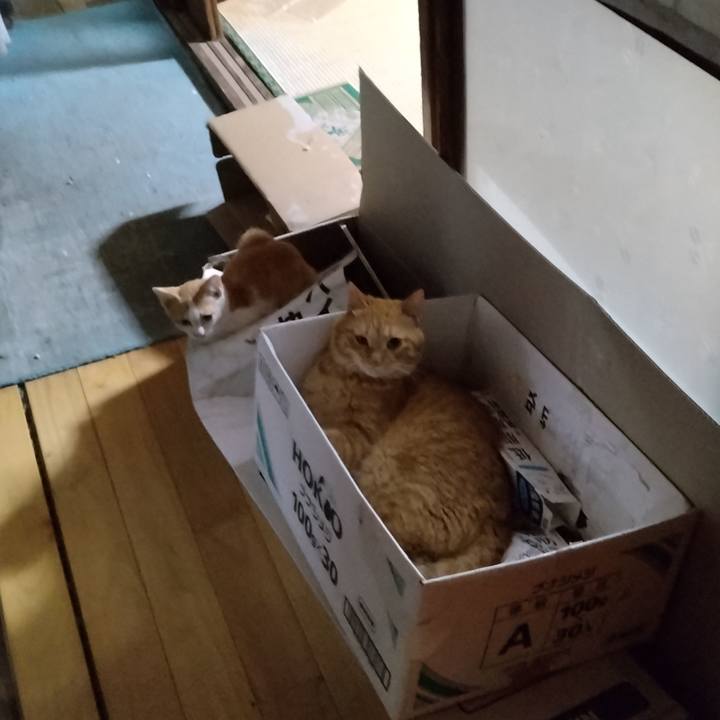 9de4896a ccf9 4e4c 920c 7f2c8a771c5f 1726401271322