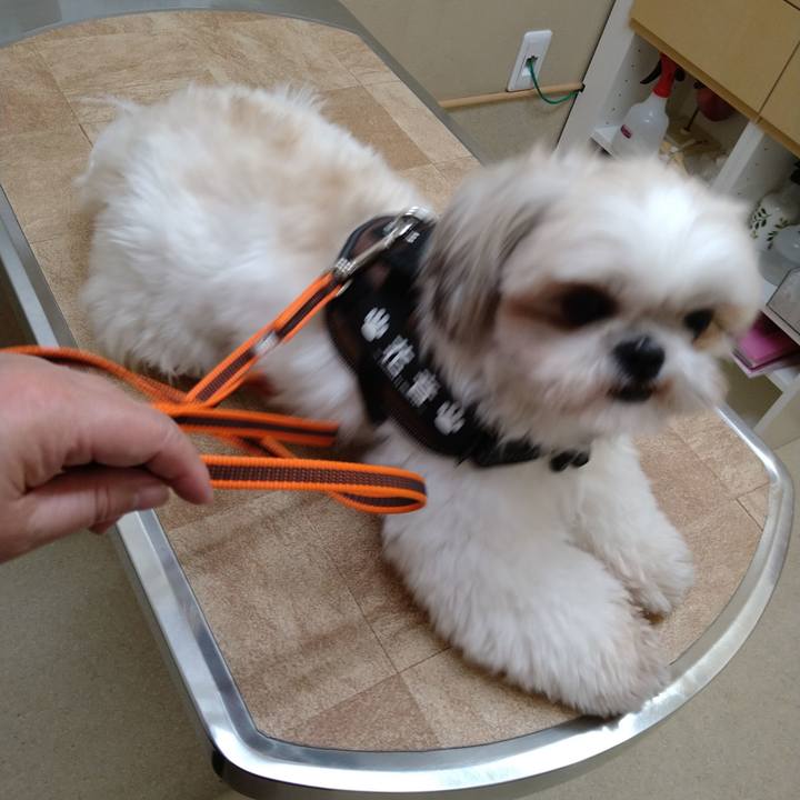 9de49eab c474 4e7d b51b 571ae8d8eebd 1613607994990