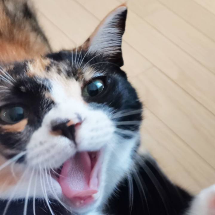 9de4a030 160c 4ce9 8d8c 85939415f2b7 1625840292064