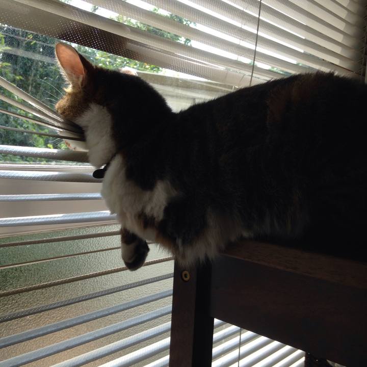 9de4f101 c868 4f71 9643 55b42f2f9007 1531807133453