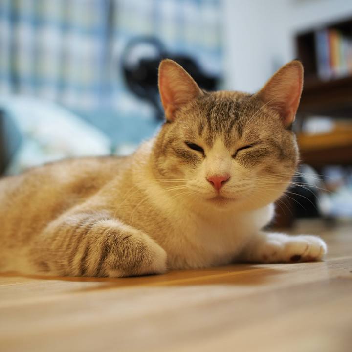 9de519bc 7b4c 47cc 806c d9e9d36d81c8 1571023269779