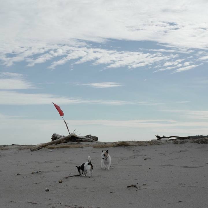 9de53203 d629 4fcf 88ab 82404bca9cea 1523679788498