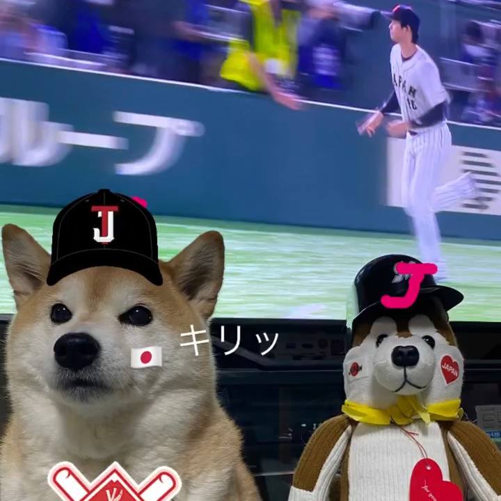 9de55e9c 8552 4292 8f5d 71cb68efad38 1678550052160