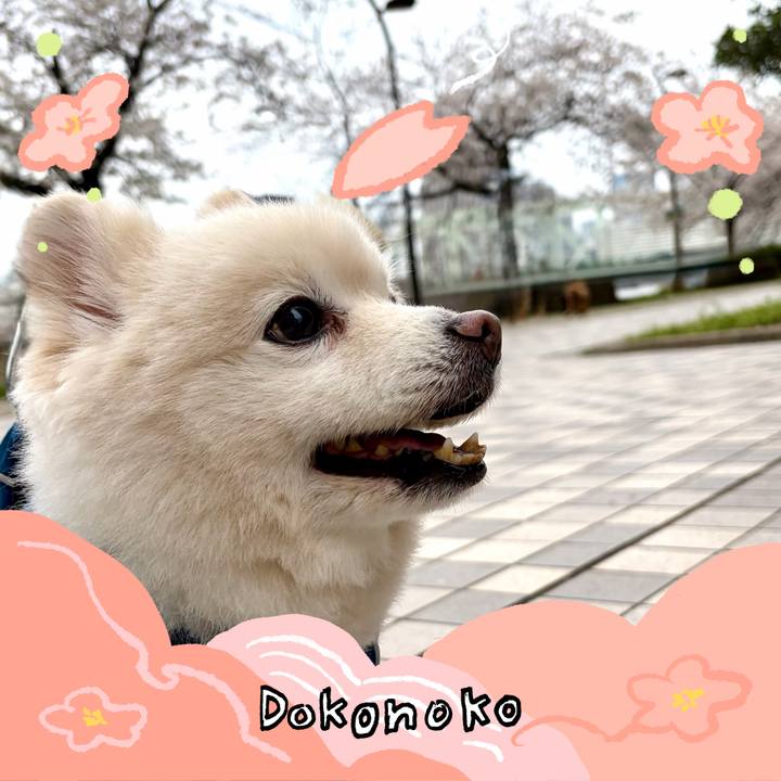 9de57def 4869 4837 af92 e6a45cf35124 1775690880226