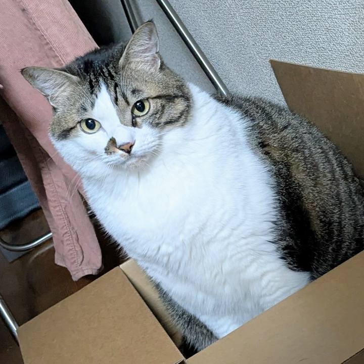 9de58bc1 5419 4d10 a19d f6dcd4c292c3 1762425939408