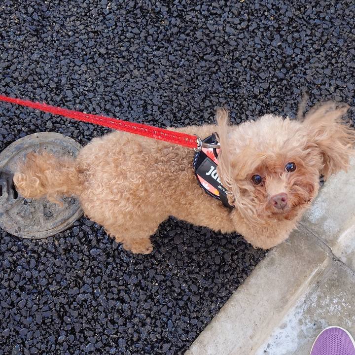 9de5a3aa a4bd 453d 9f20 927838d24d1c 1732328727527