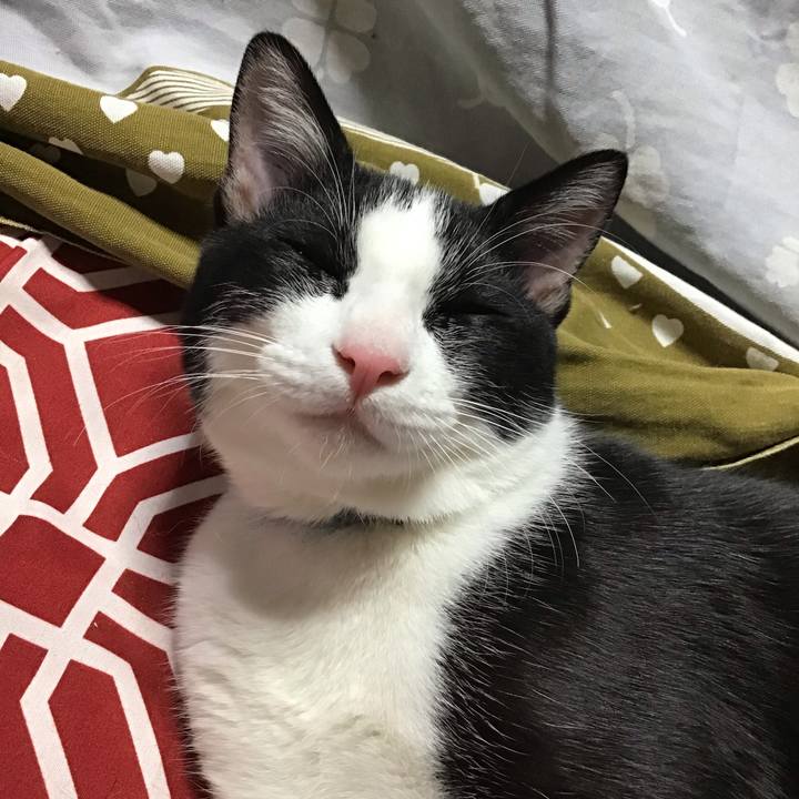 9de5d6d0 0944 4ee9 85fb 76e64c66013c 1634632313660