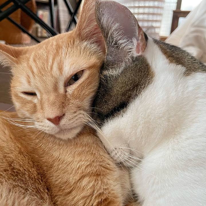 9de614d7 b21d 4da2 ba86 df2709887598 1772005756330