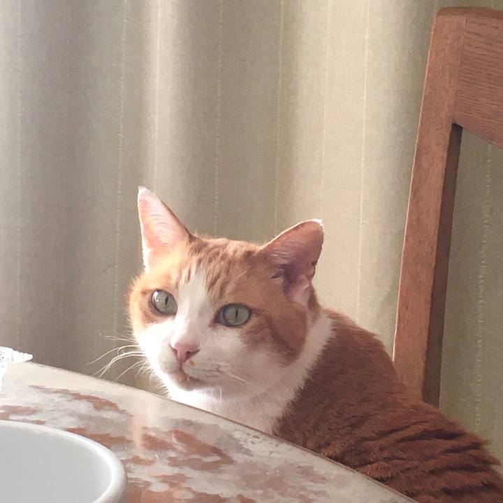 9de646ae a8ea 487f b9e5 83f637e8f90e 1584598736937