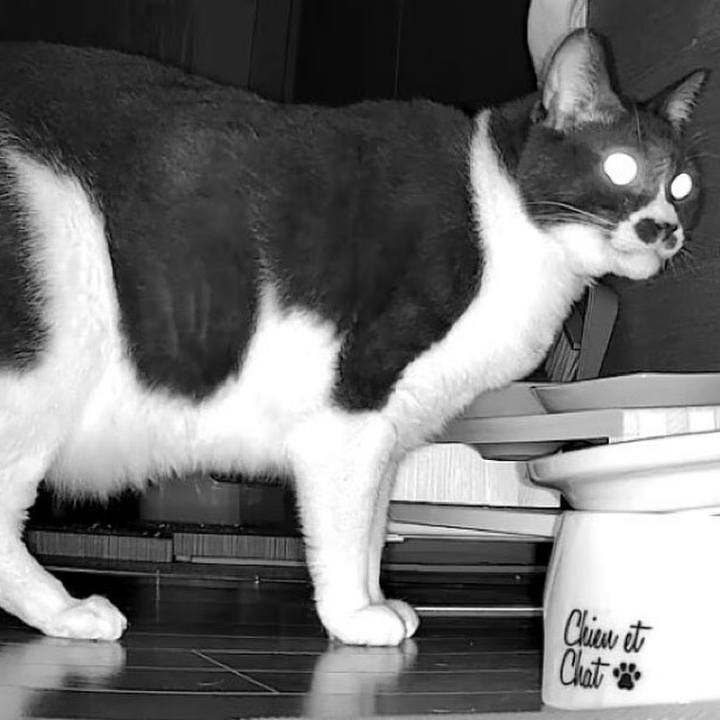 9de693a8 b10c 4b33 a94e 33738aa5618f 1717547015459