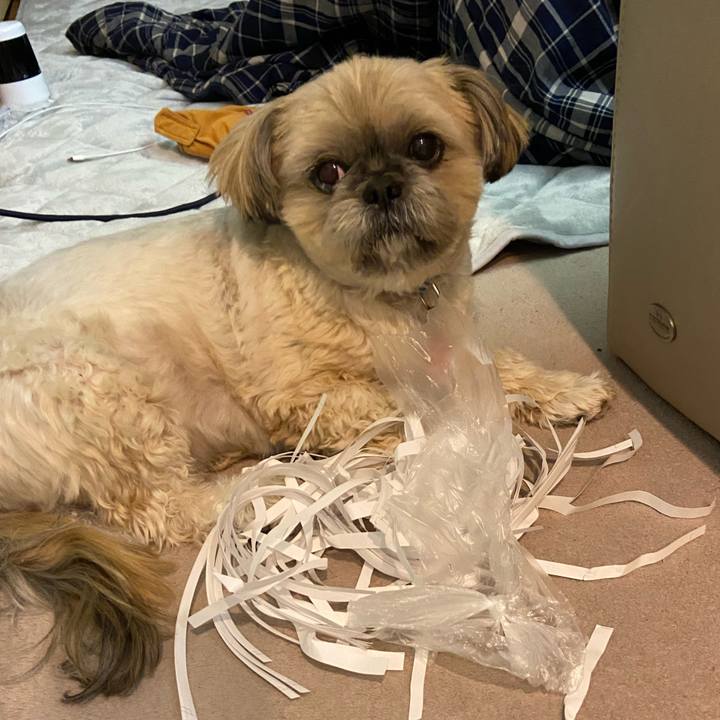 9de69754 fcaf 4bcc aa13 02c35392f556 1579008936307