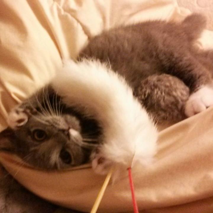 9de69d36 7959 4b8a 9b9e 95f7c1791cbd 1530971007079