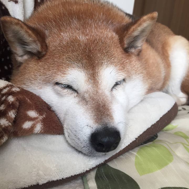 9de6a3cd a3ff 44fe a9fc 0e437767e6c0 1517126460447