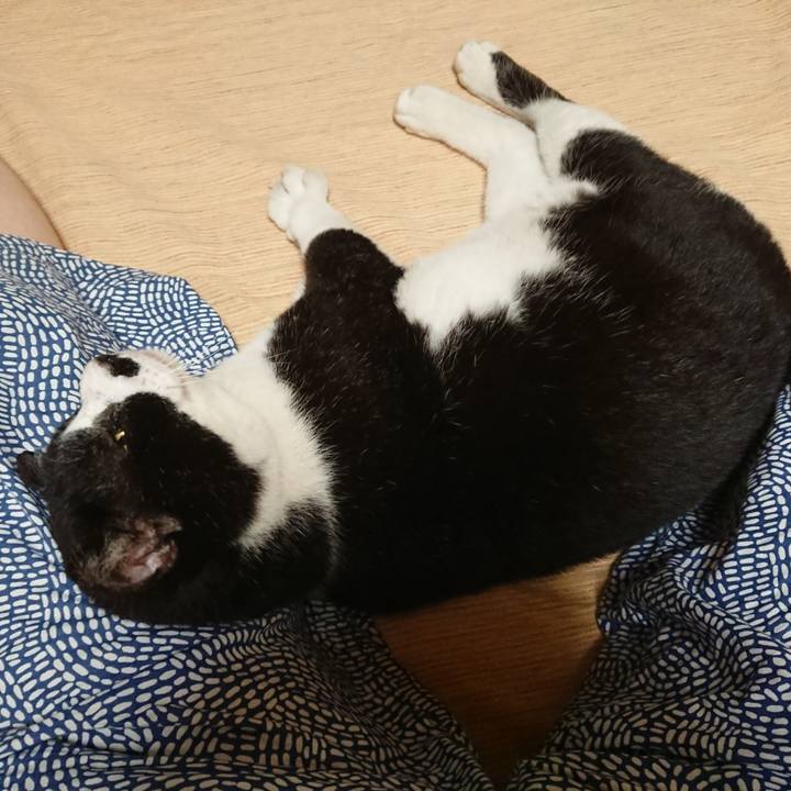 9de6a707 5749 48c2 b3da a2640c92fa36 1628693094269