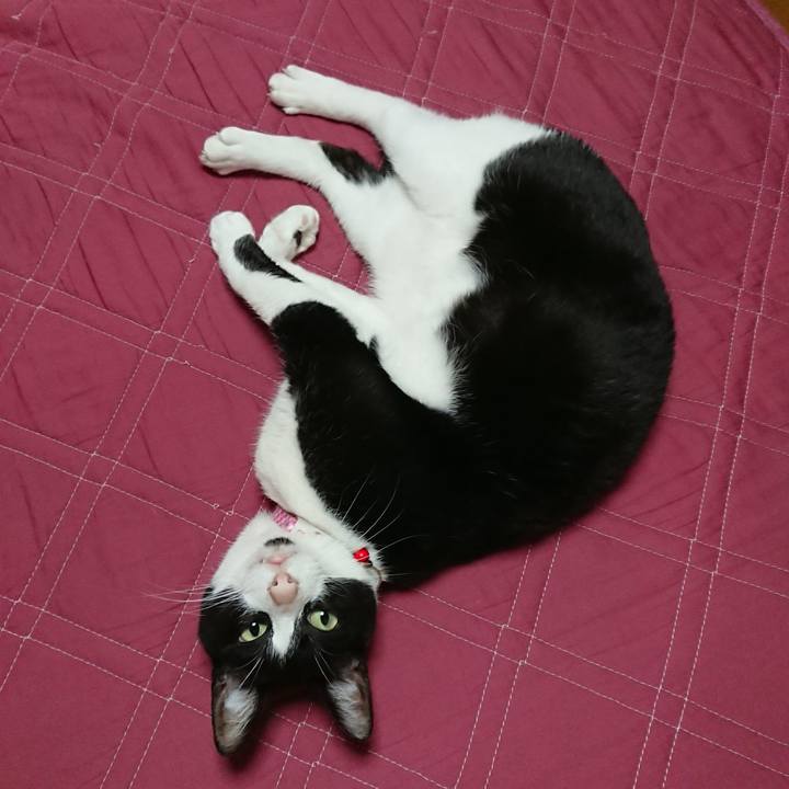 9de6dd05 2f24 4402 955f f72aad1604a1 1619219434310