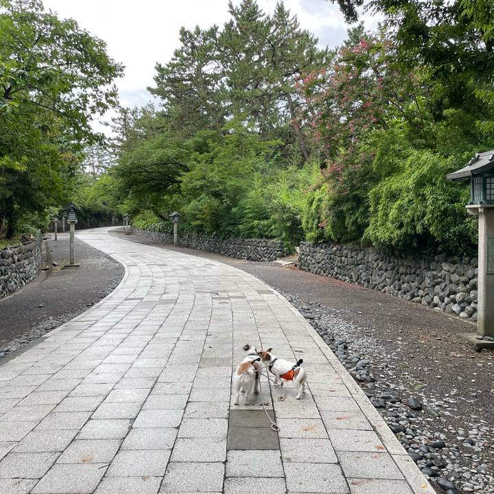 9de6e241 27ff 47d4 82cb 1feafb1f81bc 1660777466263