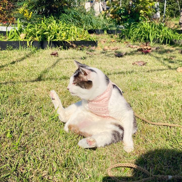 9de70d31 cb14 4c18 b709 8ef8f5bd86a7 1603955476575