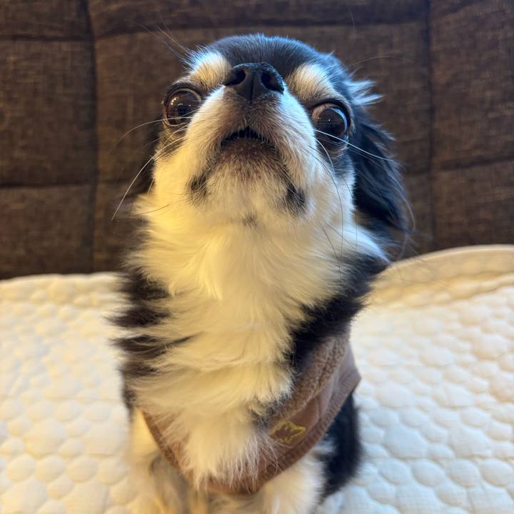 9de75246 10b0 41d5 8823 7e422d22a9f6 1740413038868