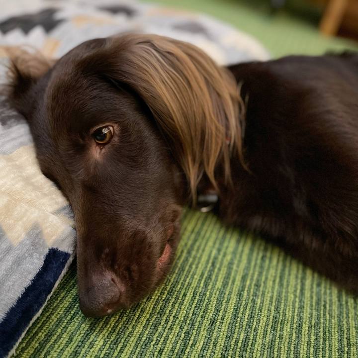 9de7570c 46f9 4d6d 8821 433d2a1e0d52 1614298081322