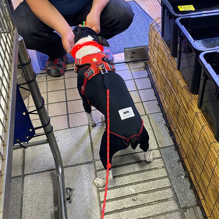 9de7731c 1a6e 46b2 b87a 683a6e57ea3f 1618488722025