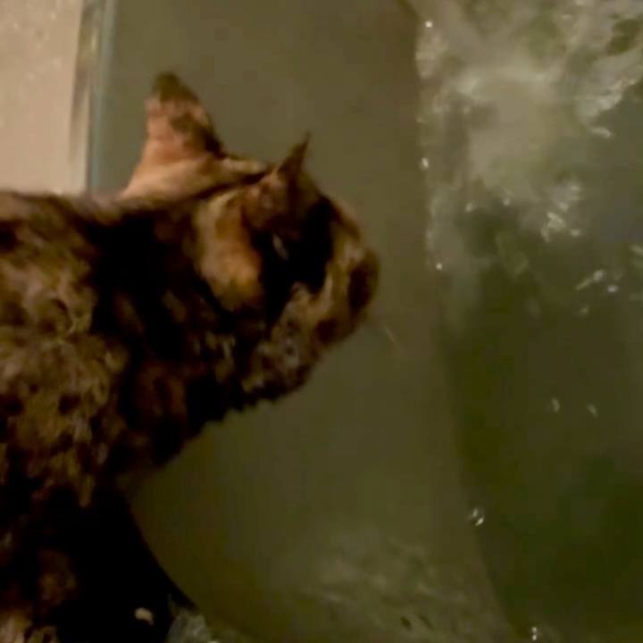 9de77e00 d18c 4aeb 8157 319efd45f2a1 1752440027640