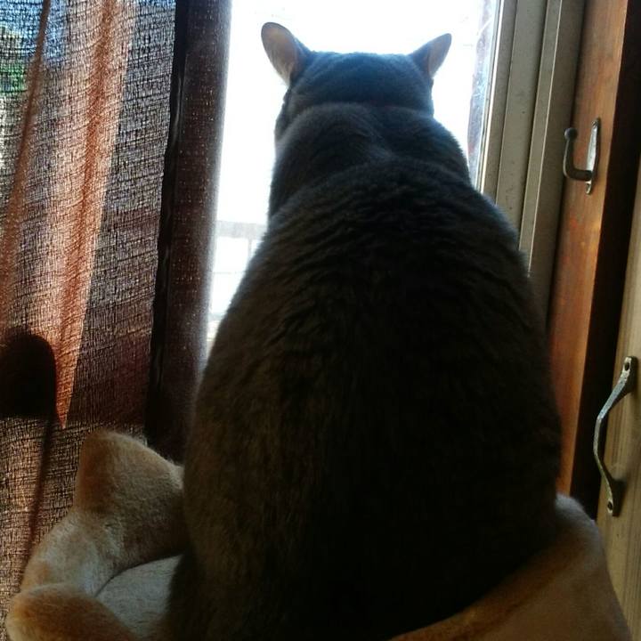 9de7f39c 7244 4fe3 a675 a4b7d776e498 1548567107227