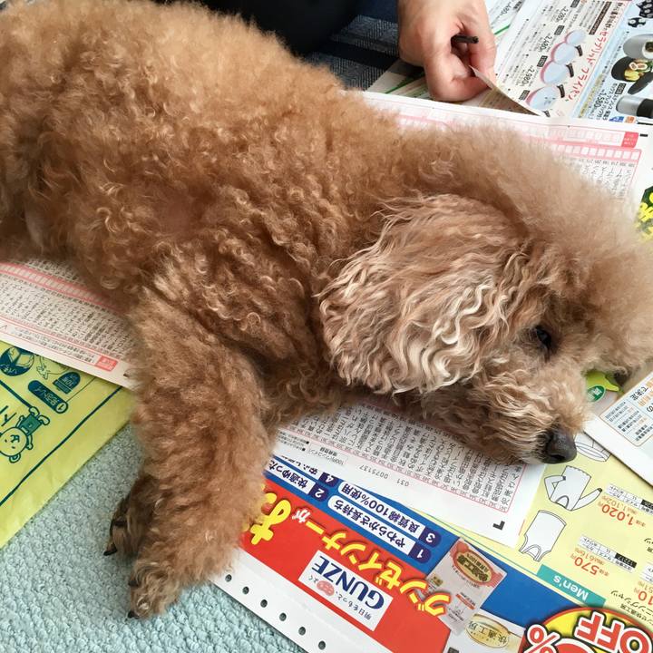 9de7f5d8 a654 4867 9c38 cf45a845ee1f 1519271633016